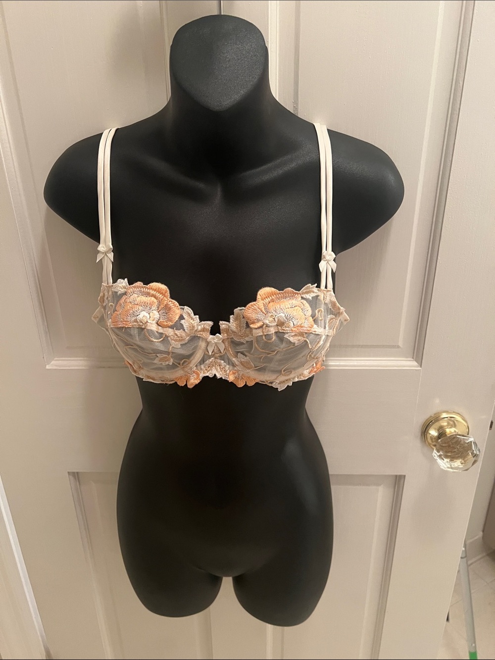 NWOT Lise Charmel Sheer Floral Embroidered Underwire Bra in Peach and Cream